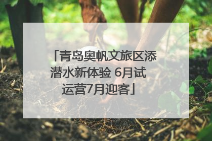 青岛奥帆文旅区添潜水新体验 6月试运营7月迎客