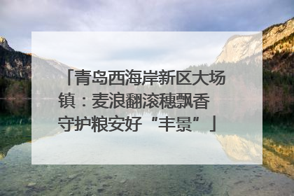 青岛西海岸新区大场镇：麦浪翻滚穗飘香 守护粮安好“丰景”