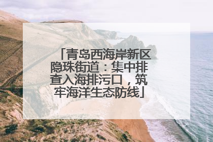 青岛西海岸新区隐珠街道：集中排查入海排污口，筑牢海洋生态防线