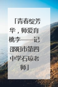 青春绽芳华，师爱育桃李——记邵阳市第四中学石琼老师