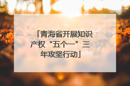 青海省开展知识产权“五个一”三年攻坚行动