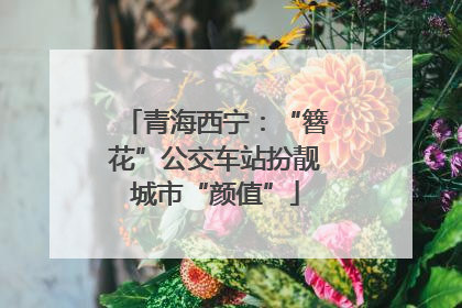 青海西宁：“簪花”公交车站扮靓城市“颜值”