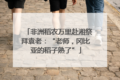 非洲稻农万里赴湘祭拜袁老：“老师，冈比亚的稻子熟了”