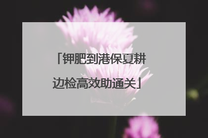 钾肥到港保夏耕 边检高效助通关