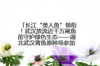 长江“美人鱼”领衔！武汉放流近千万尾鱼苗守护绿色生态——湖北武汉青鱼原种场参加2025年“全国放鱼日”增殖放流活动