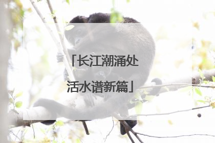 长江潮涌处 活水谱新篇