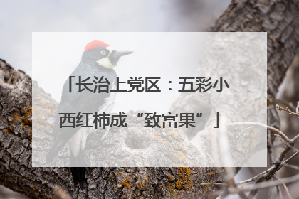 长治上党区：五彩小西红柿成“致富果”