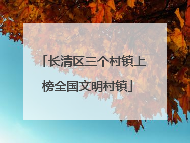 长清区三个村镇上榜全国文明村镇