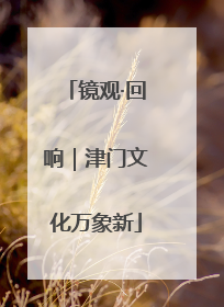 镜观·回响｜津门文化万象新