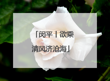闵平丨欲乘清风济沧海
