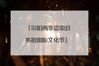 阜阳两非遗项目亮相国际文化节