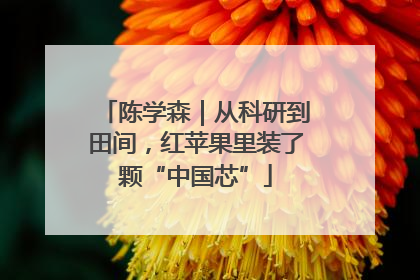 陈学森｜从科研到田间，红苹果里装了颗“中国芯”