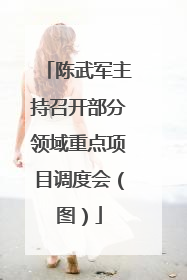 陈武军主持召开部分领域重点项目调度会（图）