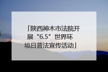 陕西神木市法院开展“6.5”世界环境日普法宣传活动