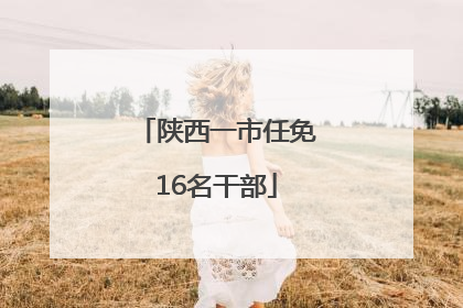 陕西一市任免16名干部