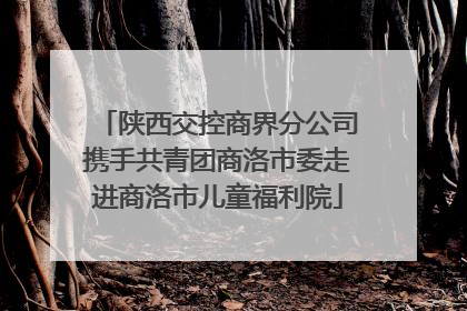陕西交控商界分公司携手共青团商洛市委走进商洛市儿童福利院