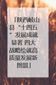 陕西岐山县“十四五”发展成就显著 四大战略绘就高质量发展新图景