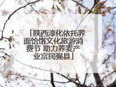 陕西淳化依托荞面饸饹文化旅游消费节 助力荞麦产业富民强县