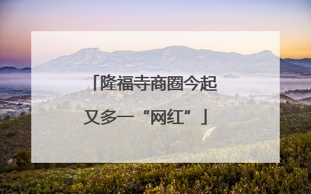 隆福寺商圈今起又多一“网红”