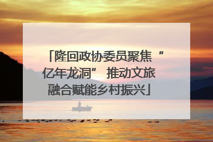 隆回政协委员聚焦“亿年龙洞” 推动文旅融合赋能乡村振兴