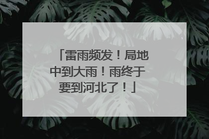 雷雨频发！局地中到大雨！雨终于要到河北了！