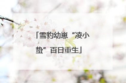 雪豹幼崽“凌小蛰”百日重生