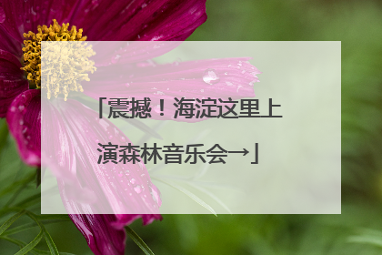 震撼！海淀这里上演森林音乐会→