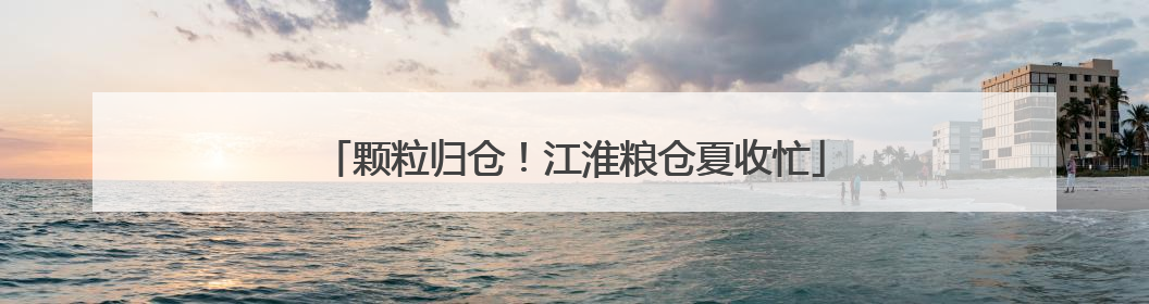 颗粒归仓！江淮粮仓夏收忙