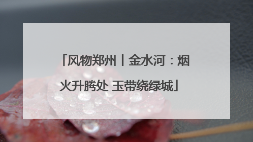 风物郑州丨金水河：烟火升腾处 玉带绕绿城