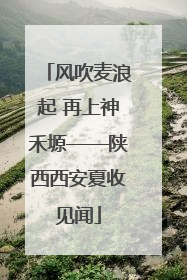 风吹麦浪起 再上神禾塬——陕西西安夏收见闻