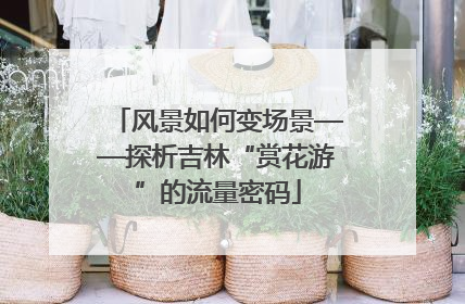 风景如何变场景——探析吉林“赏花游”的流量密码