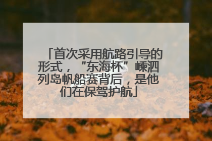 首次采用航路引导的形式，“东海杯”嵊泗列岛帆船赛背后，是他们在保驾护航