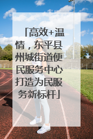 高效+温情，东平县州城街道便民服务中心打造为民服务新标杆