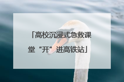 高校沉浸式急救课堂“开”进高铁站