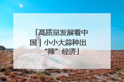 高质量发展看中国｜小小大蒜种出“辣”经济