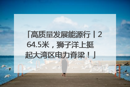 高质量发展能源行丨264.5米，狮子洋上挺起大湾区电力脊梁！