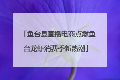 鱼台县直播电商点燃鱼台龙虾消费季新热潮