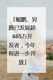 鲲鹏、昇腾已发展超665万开发者，今年将进一步开放