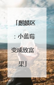 麒麟区：小蓝莓变成致富果