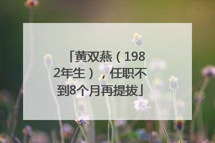 黄双燕（1982年生），任职不到8个月再提拔