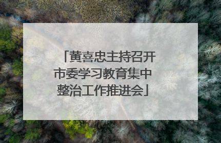 黄喜忠主持召开市委学习教育集中整治工作推进会