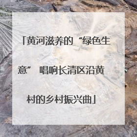 黄河滋养的“绿色生意” 唱响长清区沿黄村的乡村振兴曲