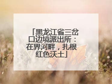 黑龙江省三岔口边境派出所：在界河畔，扎根红色沃土