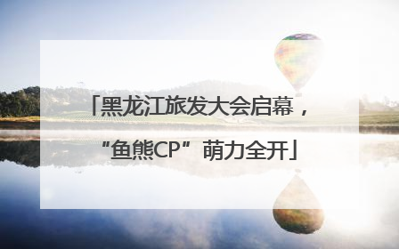 黑龙江旅发大会启幕，“鱼熊CP”萌力全开