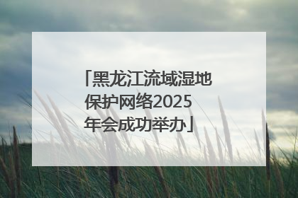 黑龙江流域湿地保护网络2025年会成功举办