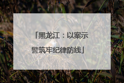 黑龙江：以案示警筑牢纪律防线