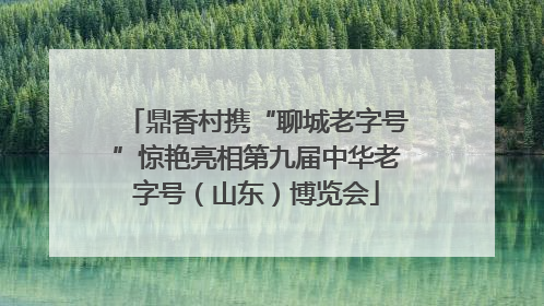 鼎香村携“聊城老字号”惊艳亮相第九届中华老字号（山东）博览会