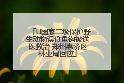 ﻿国家二级保护野生动物误食鱼钩被送医救治 郑州惠济区林业局回应
