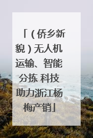 （侨乡新貌）无人机运输、智能分拣 科技助力浙江杨梅产销