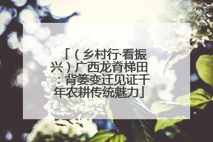 （乡村行·看振兴）广西龙脊梯田：背篓变迁见证千年农耕传统魅力